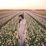 netherlands-blumenfeld-flowers-sunrise