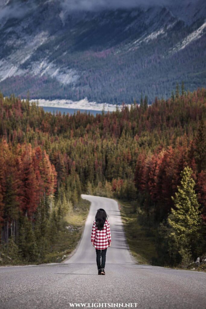 autum-at-fall-blossom-indian-summer-herbst-foliage-berge-mountains-america-canada