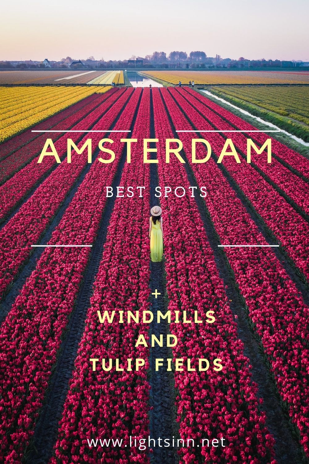 netherlands-holland-amsterdam-windmills-tulipfield
