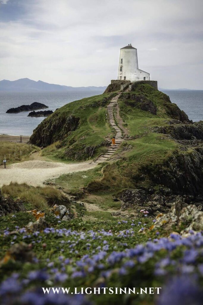 wales-uk-great-britain-goleudy_twr_mawr_lighthouse-leuchtturm-strand-beach-flowers-spring-bloom-reise-vacay-england-united-kingdom